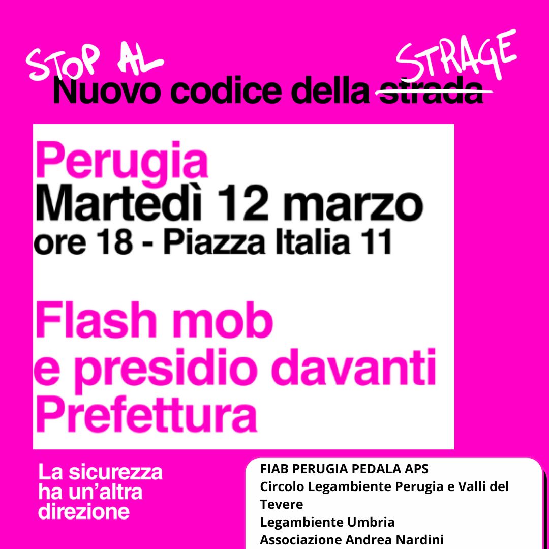 FLASH MOB: STOP AL NUOVO "CODICE DELLA STRAGE"